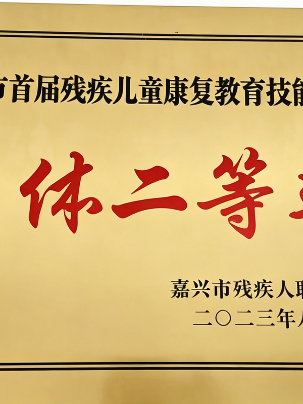 嘉兴市首届残疾儿童康复教育技能大赛团体二等奖
